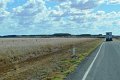 Winton (108)